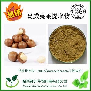 澳洲坚果市场概览 价格、品牌与零售趋势