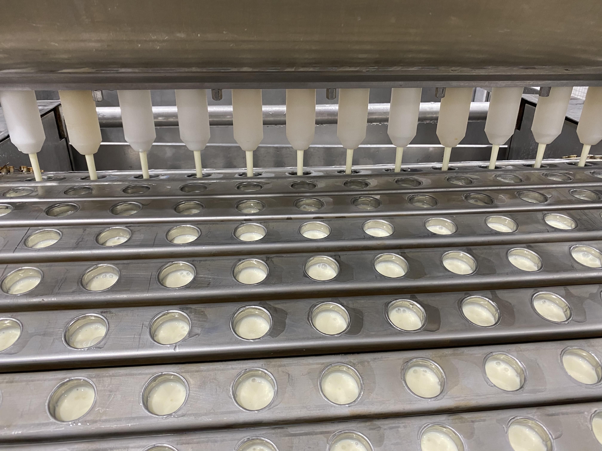 奉贤 上海夏日记忆的“甜蜜心脏”